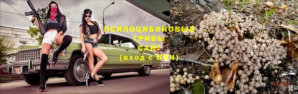 кокс Алексин