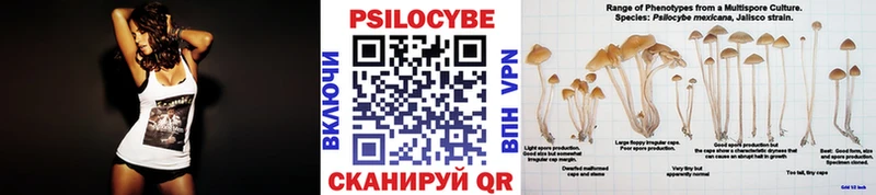 Псилоцибиновые грибы Cubensis нарко площадка телеграм Спасск-Рязанский